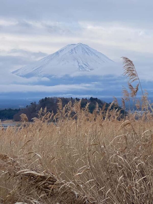 Mount Fuji Full Day Private Tour From Tokyo (Customizable) - Ending with Hakone’s Scenic & Cultural Highlights