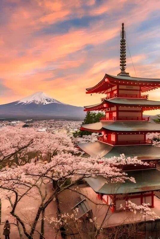 Mount Fuji Full-Day Private Tour from Tokyo (Customizable) - Real Insights from Travelers