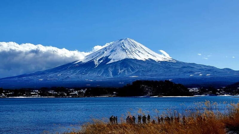 Mount Fuji Full-Day Private Tour from Tokyo (Customizable) - Who Is This Tour Best For?  