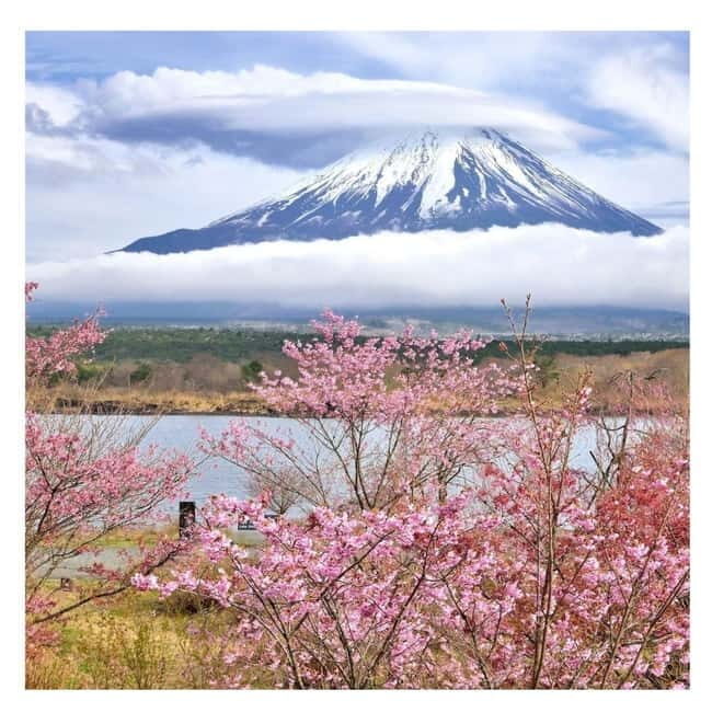 Mount Fuji Full Day Private Tour from Tokyo Full Customized - Frequently Asked Questions