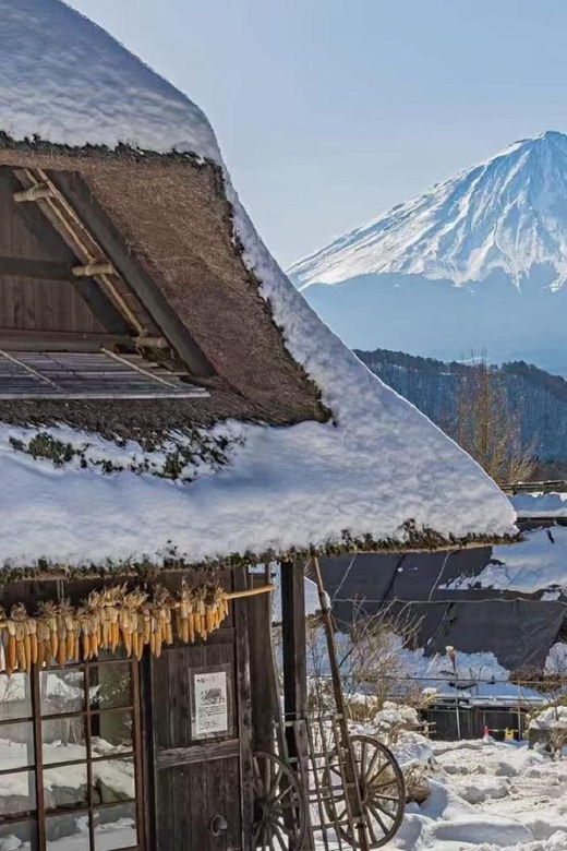 mount-fuji-full-day-tourmajestic-views-and-cultural-wonders