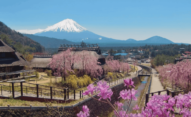 mount-fuji-full-day-tourmajestic-views-and-cultural-wonders