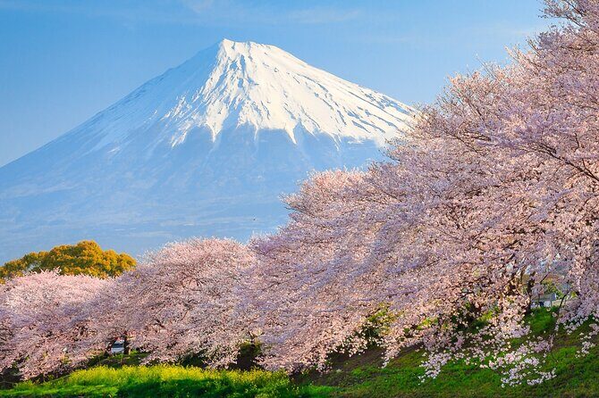 Mount Fuji & Hakone: 1-Day Private Van Tour with Hotel Pick-Up - Key Points