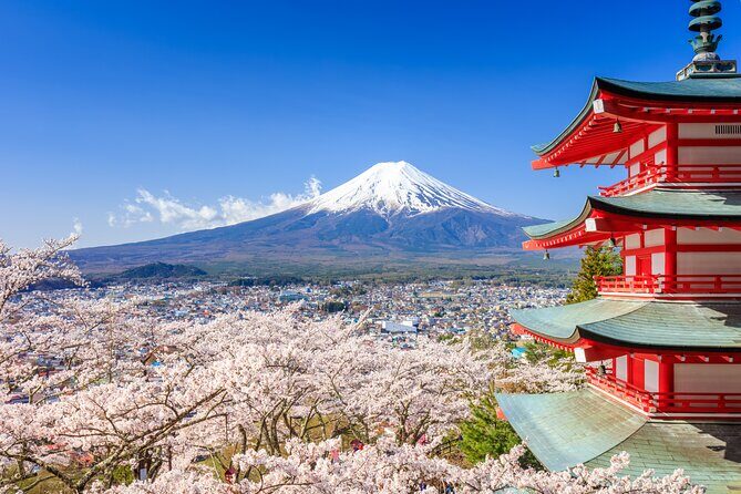 Mount Fuji & Hakone: 1-Day Private Van Tour with Hotel Pick-Up - Itinerary Breakdown and What to Expect