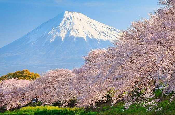 Mount Fuji & Hakone: 1-Day Private Van Tour with Hotel Pick-Up - FAQ