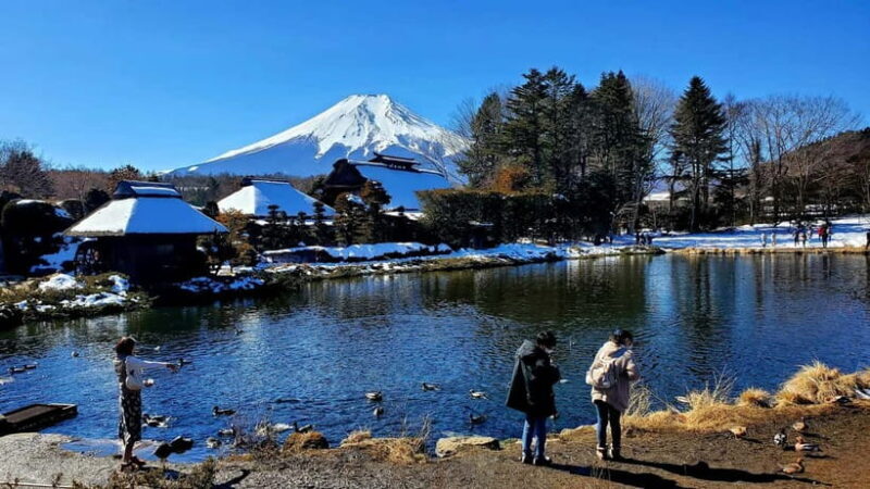 Mount Fuji & Hakone Full-Day Private Tour (Customizable) - An In-Depth Look at the Tour Experience