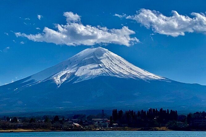 mount-fuji-hakone-private-customized-sightseeing-english-trip