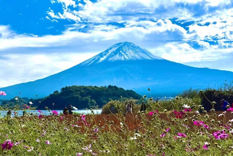 Mount Fuji & Hakone Private English Customized Tour - Exploring the Mount Fuji & Hakone Private Customized Tour