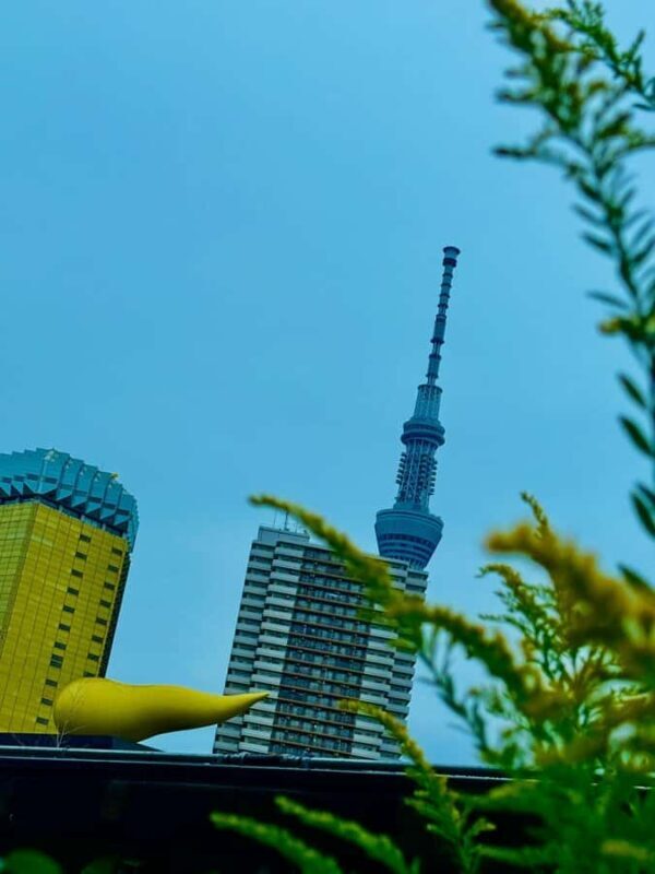 Mount Fuji & Hakone Private English Customized Tour - The Experience From Review Insights