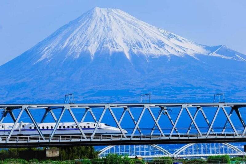 Mount Fuji & Hakone Private Tour with Bullet Train Return - Key Points