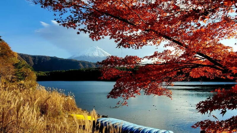 Mount Fuji & Hakone Private Tour with Bullet Train Return - The Charm of Oshino Hakkai
