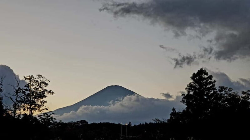 Mount Fuji & Hakone Private Tour with Bullet Train Return - The Bullet Train Experience: A Modern Touch