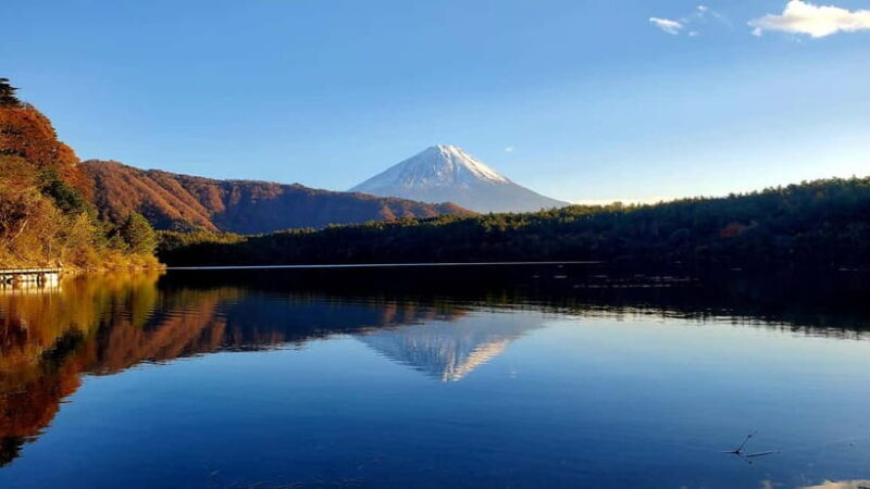 Mount Fuji & Hakone Private Tour with Bullet Train Return - Practical Details and Logistics