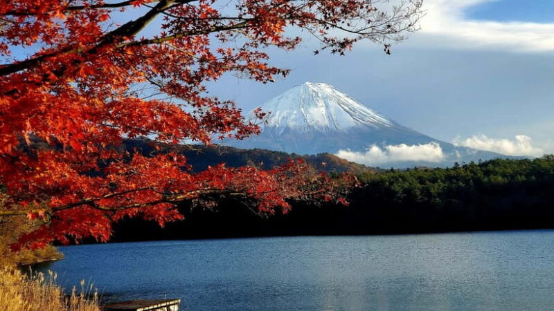 Mount Fuji & Hakone Private Tour with Bullet Train Return - Value for Money
