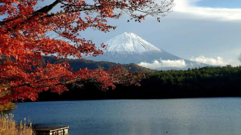 Mount Fuji & Hakone Private Tour with Bullet Train Return - Who Is This Tour Best For?