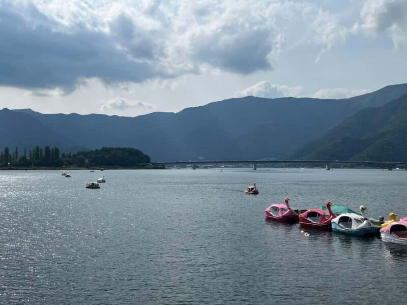 Mount Fuji & Hakone Private Tour with Cherry Blossoms - Who Will Love This Tour?