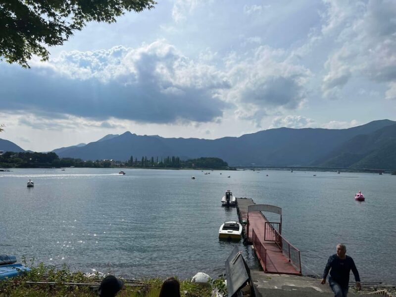 Mount Fuji & Hakone Private Tour with Cherry Blossoms - In The Sum Up