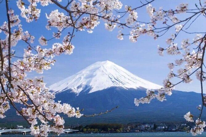 Mount Fuji & Lake Kawaguchi Day Trip with English-speaking Driver - Key Points