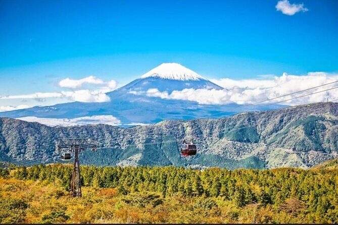 Mount Fuji & Lake Kawaguchi Day Trip with English-speaking Driver - Final Thoughts