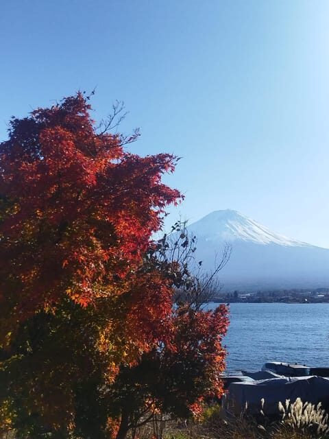 Mount Fuji-Lake Kawaguchi Private Tour with Bilingual Driver - Key Points