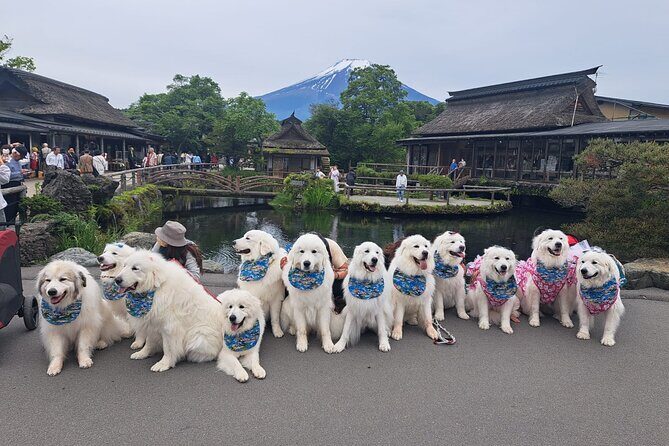 Mount Fuji (Mt. fuji) private tour by car with pickup from Tokyo - Wrapping Up