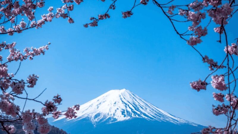 Mount Fuji one day Customize Tour With English Driver - Discover the Beauty of Mount Fuji with a Private Custom Tour