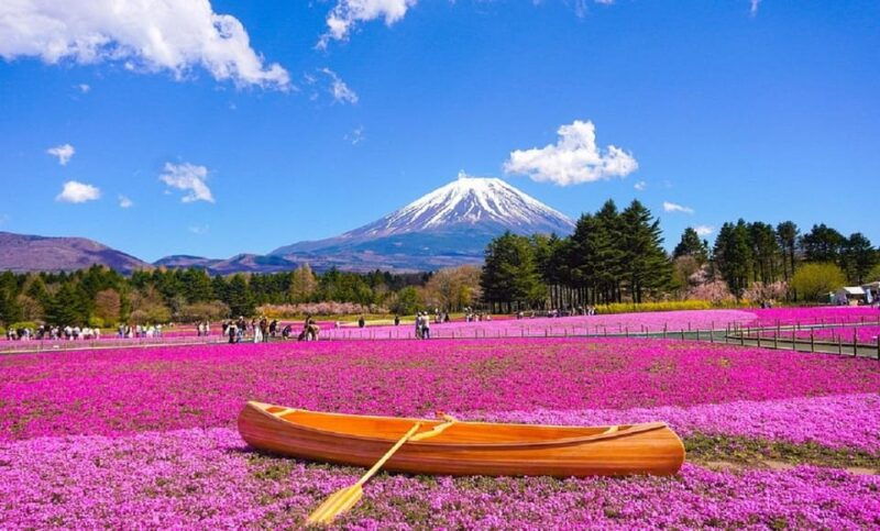 mount-fuji-oshino-hakkai-and-onsen-1-day-trip-from-tokyo
