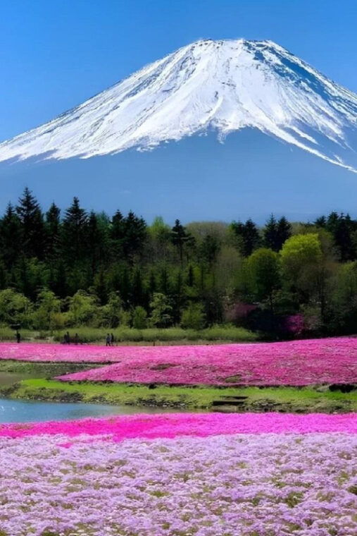 mount-fuji-oshino-hakkai-and-onsen-1-day-trip-from-tokyo