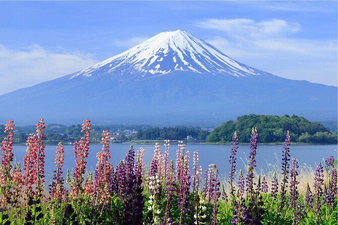 Mount Fuji Panoramic Day Trip from Tokyo - What You’ll Love About This Tour