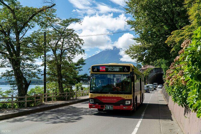 Mount Fuji Passes (optional) - Practical Considerations: How the Pass Works