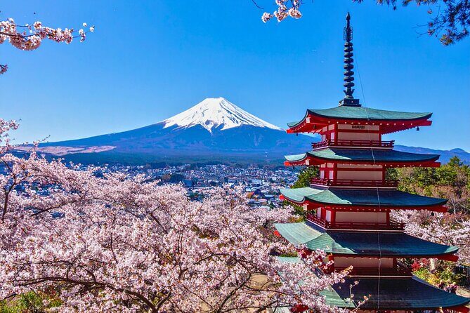 Mount Fuji Private Custom Tour with Local English Speaking Guide - Key Points