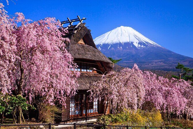 Mount Fuji Private Custom Tour with Local English Speaking Guide - An In-Depth Look at the Tour Experience