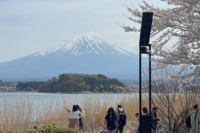 mount-fuji-private-full-day-customize-tour-with-english-driver