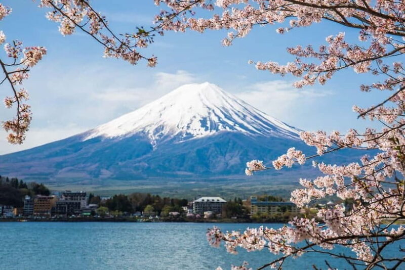 Mount Fuji: Private Full day Tour (Customizable) Eng driver - Who Should Take This Tour?