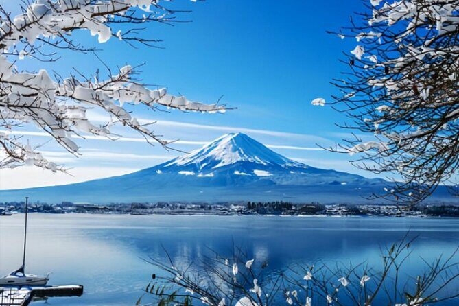 Mount Fuji Private Tour from Tokyo with English Speaking Driver - Key Points