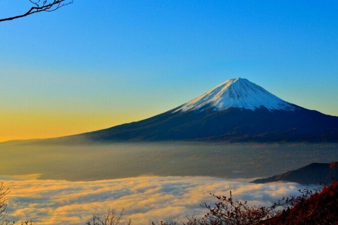 Mount Fuji Private Tour from Tokyo with English Speaking Driver - The Itinerary: A Closer Look