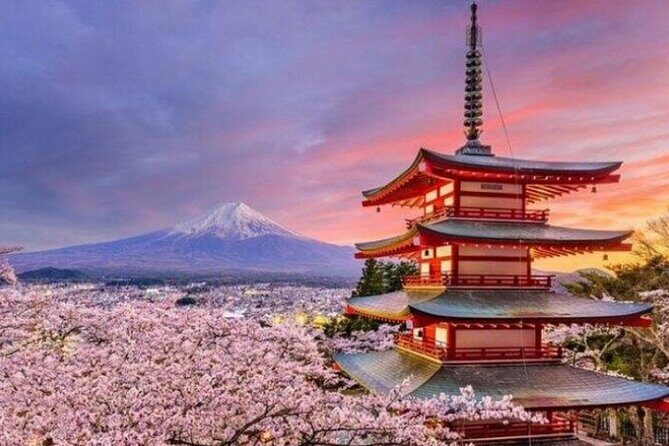 Mount Fuji Private Tour from Tokyo with English Speaking Driver - The Vehicle and Comfort