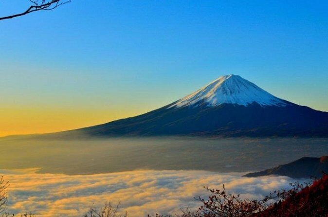 Mount Fuji Private Tour from Tokyo with English Speaking Driver - Timing and Flexibility