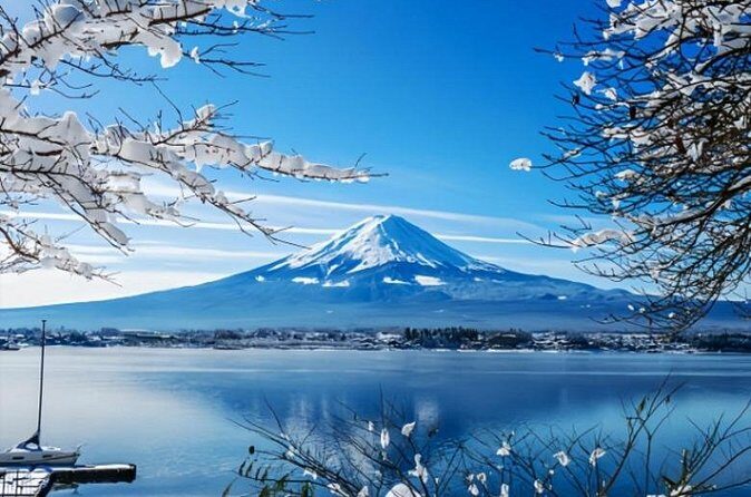 Mount Fuji Private Tour from Tokyo with English Speaking Driver - Authentic Experiences and Insights from Reviews