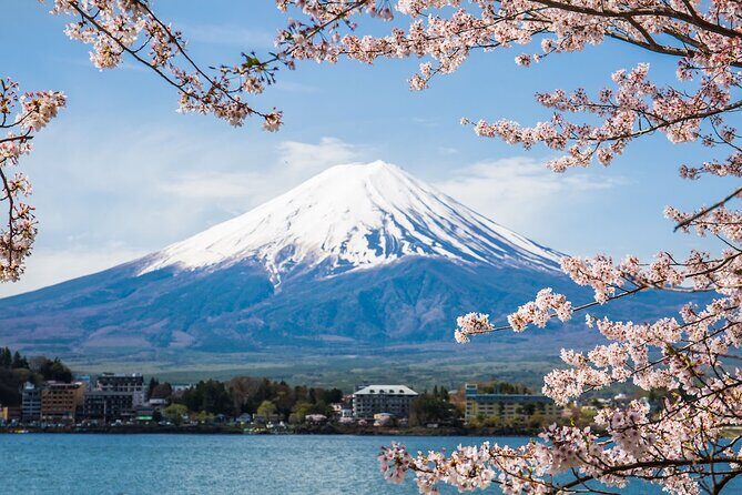 Mount Fuji Private Tour With English Guide Fully Customizable - Key Points