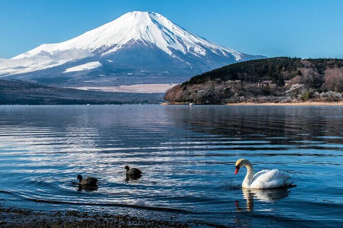 Mount Fuji Private Tour With English Speaking Driver - Final Thoughts: Is This Tour Right for You?