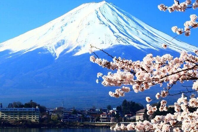 Mount Fuji Private tour with Guide - FAQ