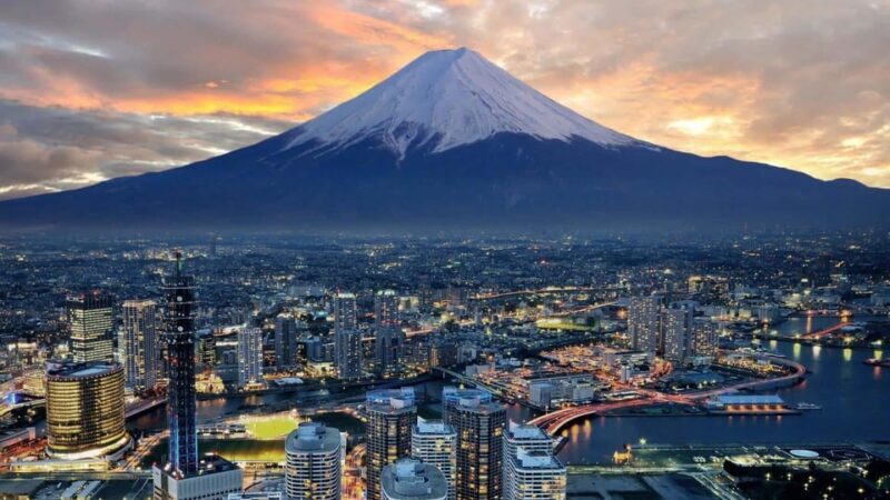 Mount Fuji Pvt. Full Day Trip with English-Speaking Driver - Who Is This Tour Best For?