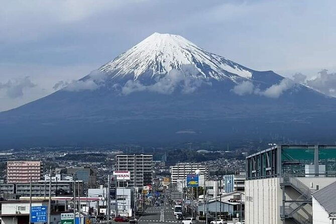 mount-fuji-sightseeing-one-day-tour-from-shinjuku