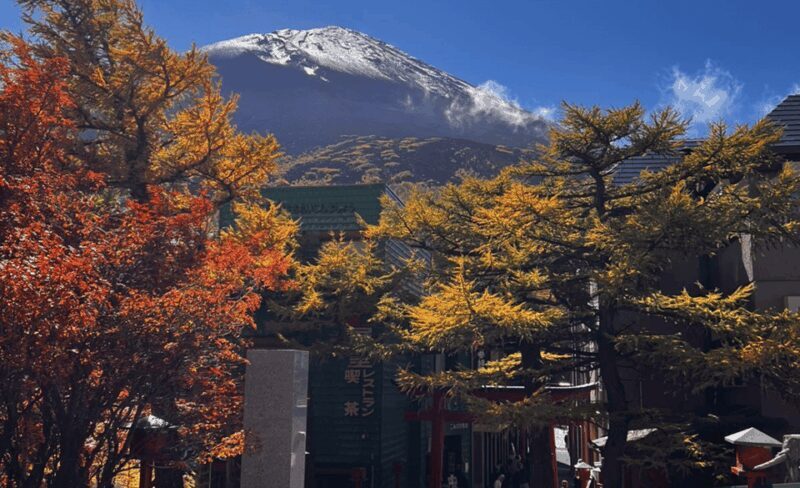 Mount Fuji Sightseeing tour with English speaking guide - Key Points