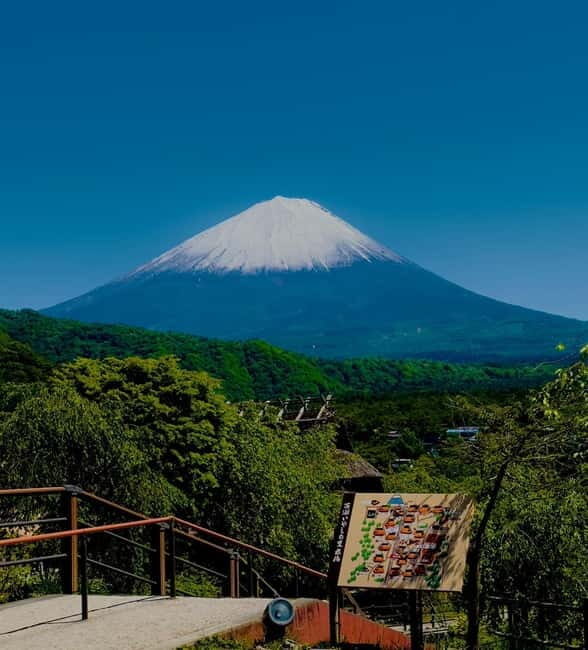 Mount Fuji VIP & Luxury Customise One Day Tour. - Key Points