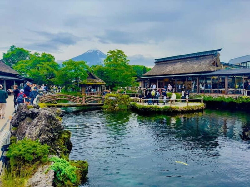 Mount Fuji VIP & Luxury Customise One Day Tour. - Authentic Experiences & Reviews: What Travelers Say