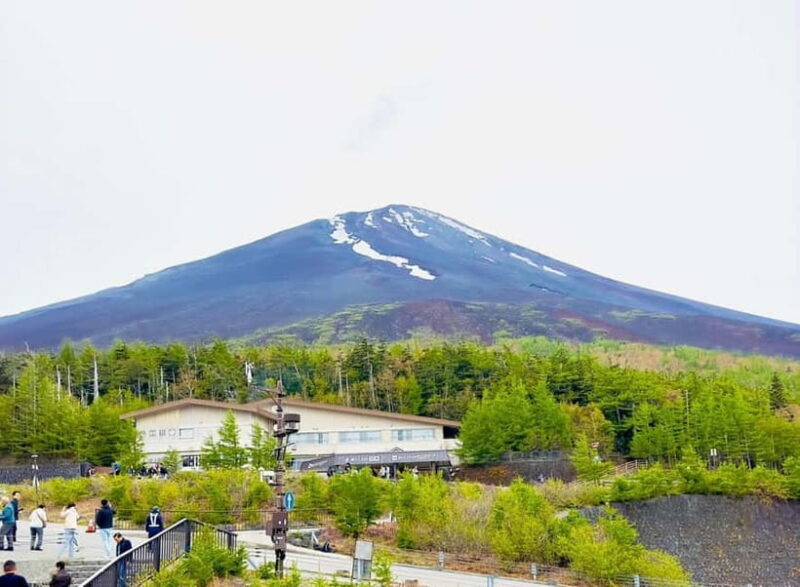 Mount Fuji VIP & Luxury Customise One Day Tour. - Who Would Love This Tour?
