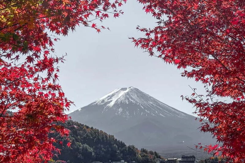 Mount Fuji,Lake Kawaguchiko Private Tour By Car With Pick Up - Real Experiences and Insights from Travelers