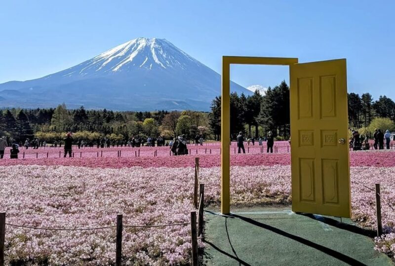 Mount Fuji,Lake Kawaguchiko Private Tour By Car With Pick Up - The Sum Up: Is It Worth Considering?
